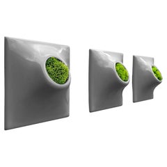 Modern Gray Wall Planter Set, Plant Wall Art, Living Wall Decor, Node 6" Small D