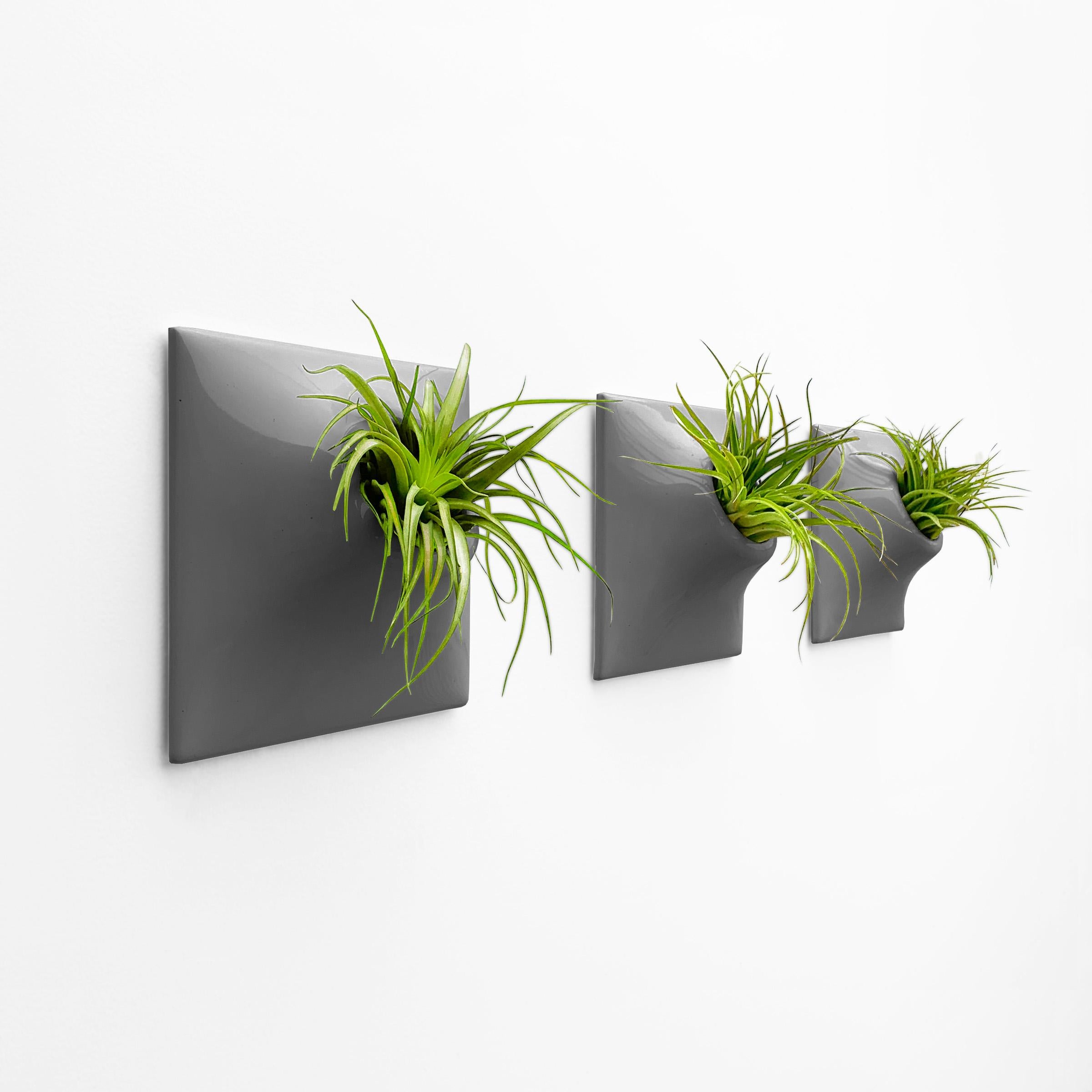 Glazed Modern Gray Wall Planter Set, Plant Wall Art, Wall Sculpture, Node 9