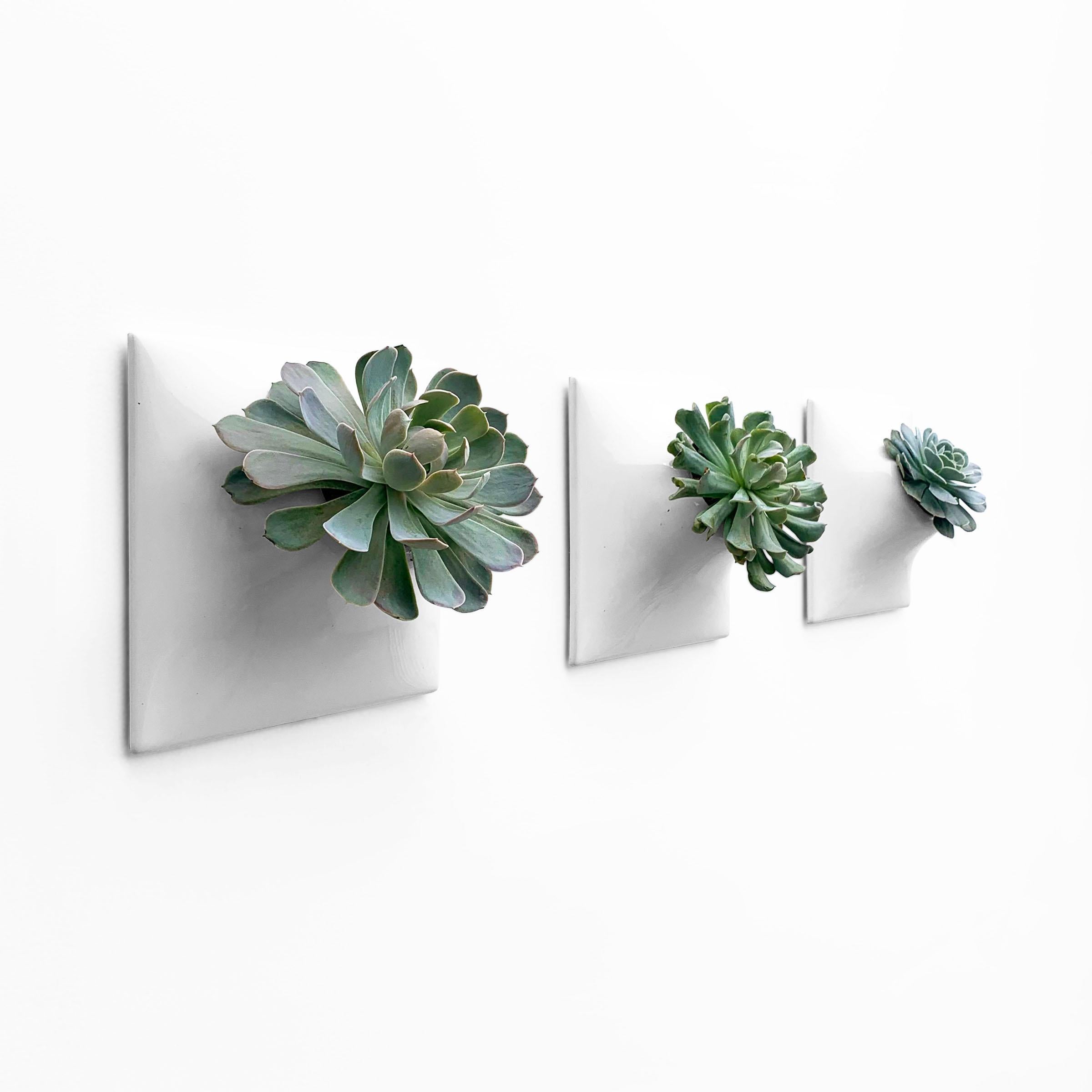 Organic Modern Modern Gray Wall Planter Set, Plant Wall Art, Wall Sculpture, Node 9