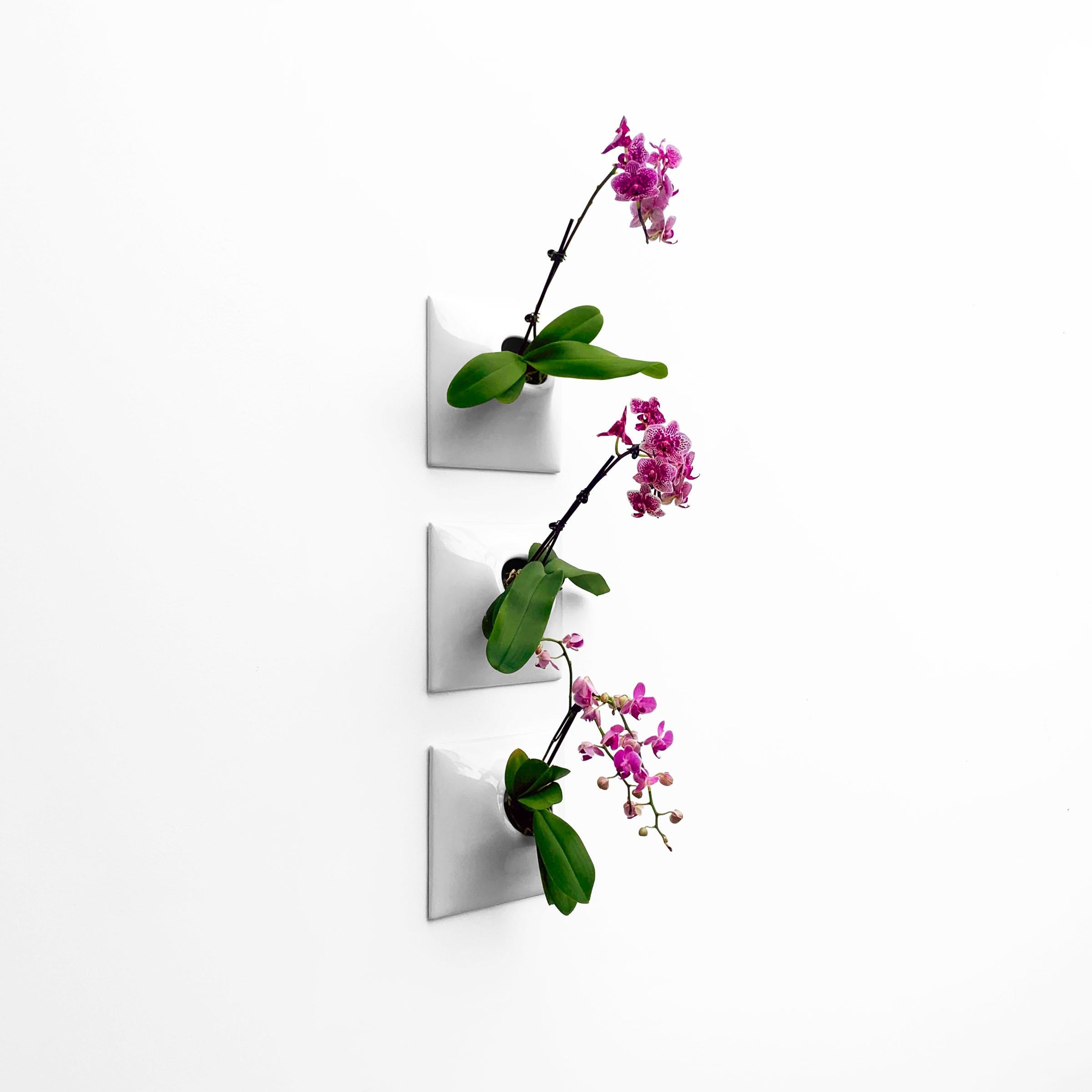 Glazed Modern Gray Wall Planter Set, Plant Wall Art, Wall Sculpture, Node 9