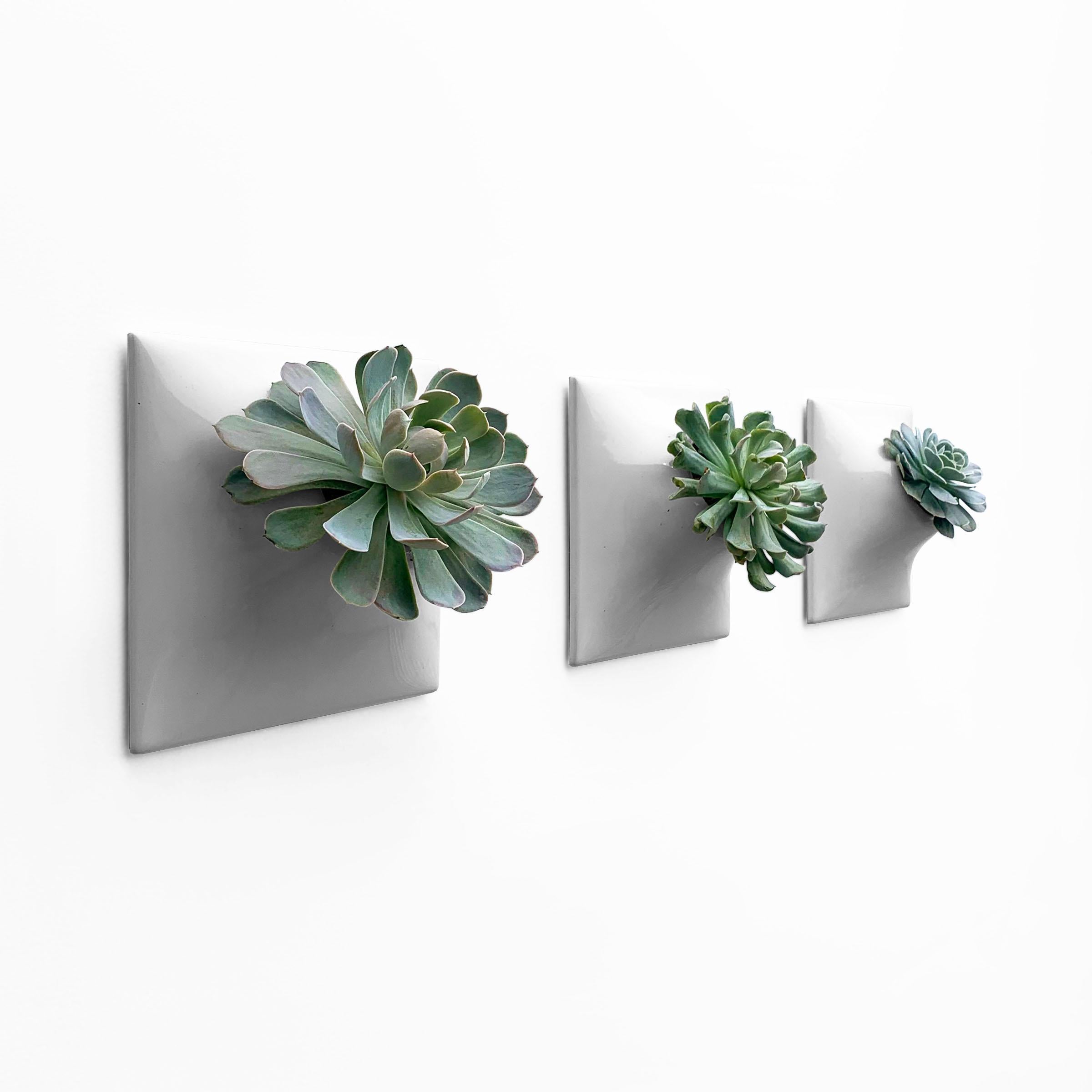 Organic Modern Modern Gray Wall Planter Set, Plant Wall Art, Wall Sculpture, Node 9