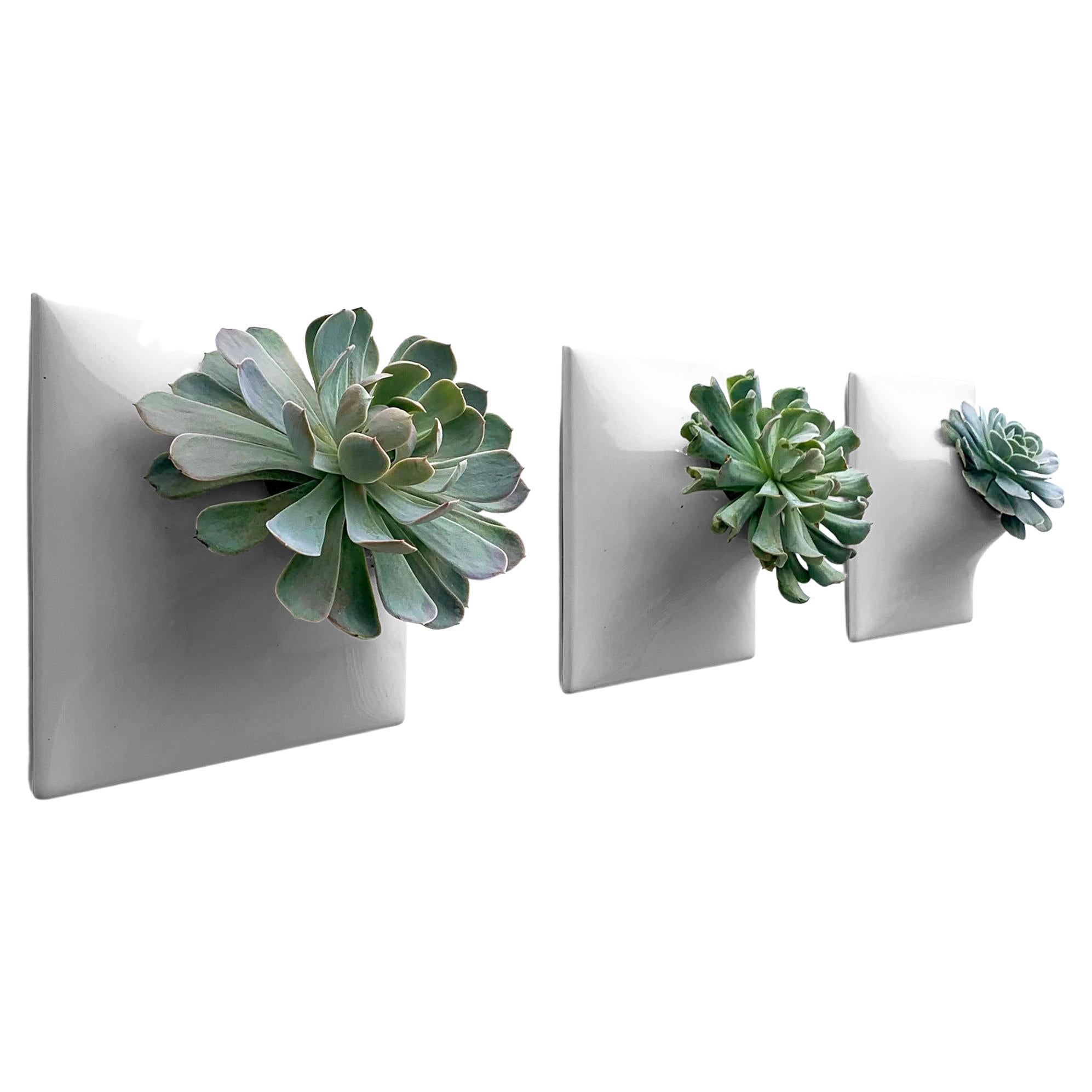 Modern Gray Wall Planter Set, Plant Wall Art, Wall Sculpture, Node 9" Medium, M For Sale