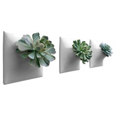 Modern Wall Planter, Plant Wall Art, Living Wall Decor, Node Set Med Gray