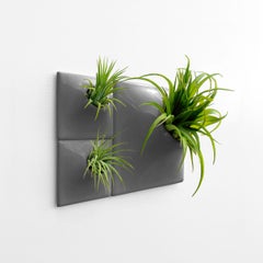 Modern Gray Wall Planter Set, Mid Century Modern Decor, Moss Wall Art, Node BR1D