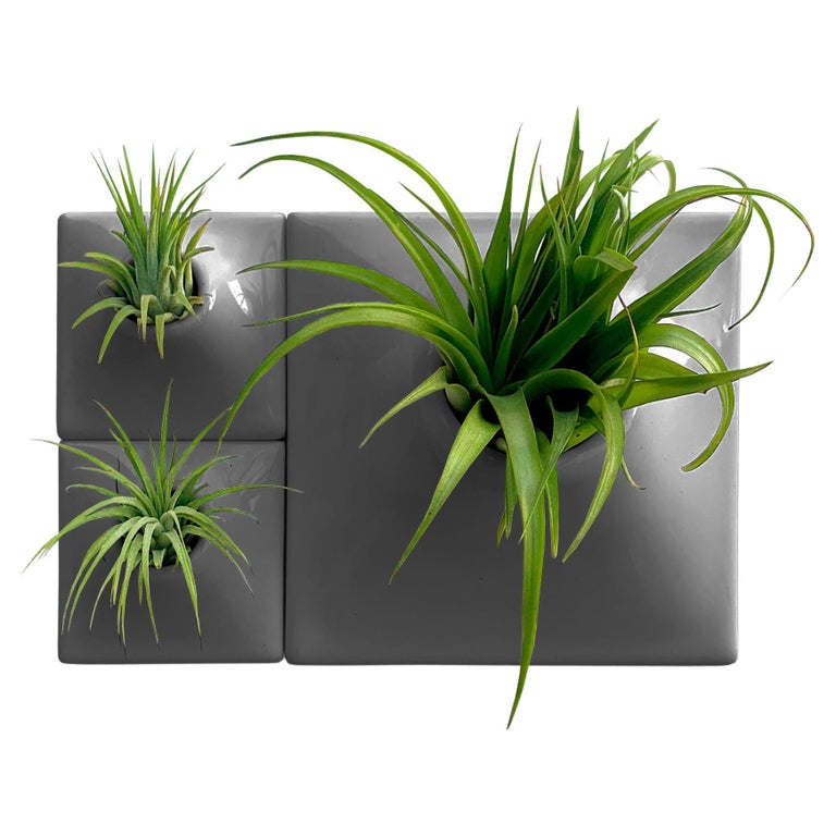 Stunning Luxurious Green Wall Planters image