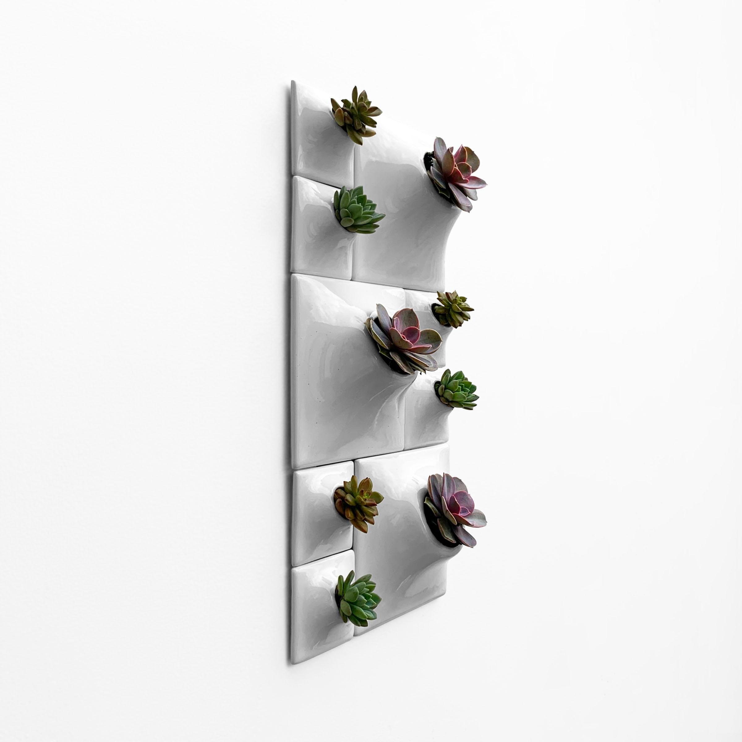 Curated visual reference: Picture Idea: Modern Gray Wall Planter Set Biophilic Wall Sculpture Moss Wall
