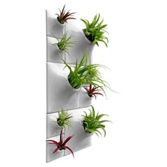 Modern Wall Planter, Plant Wall Art, Living Wall Decor, Node BR3 Light Grey