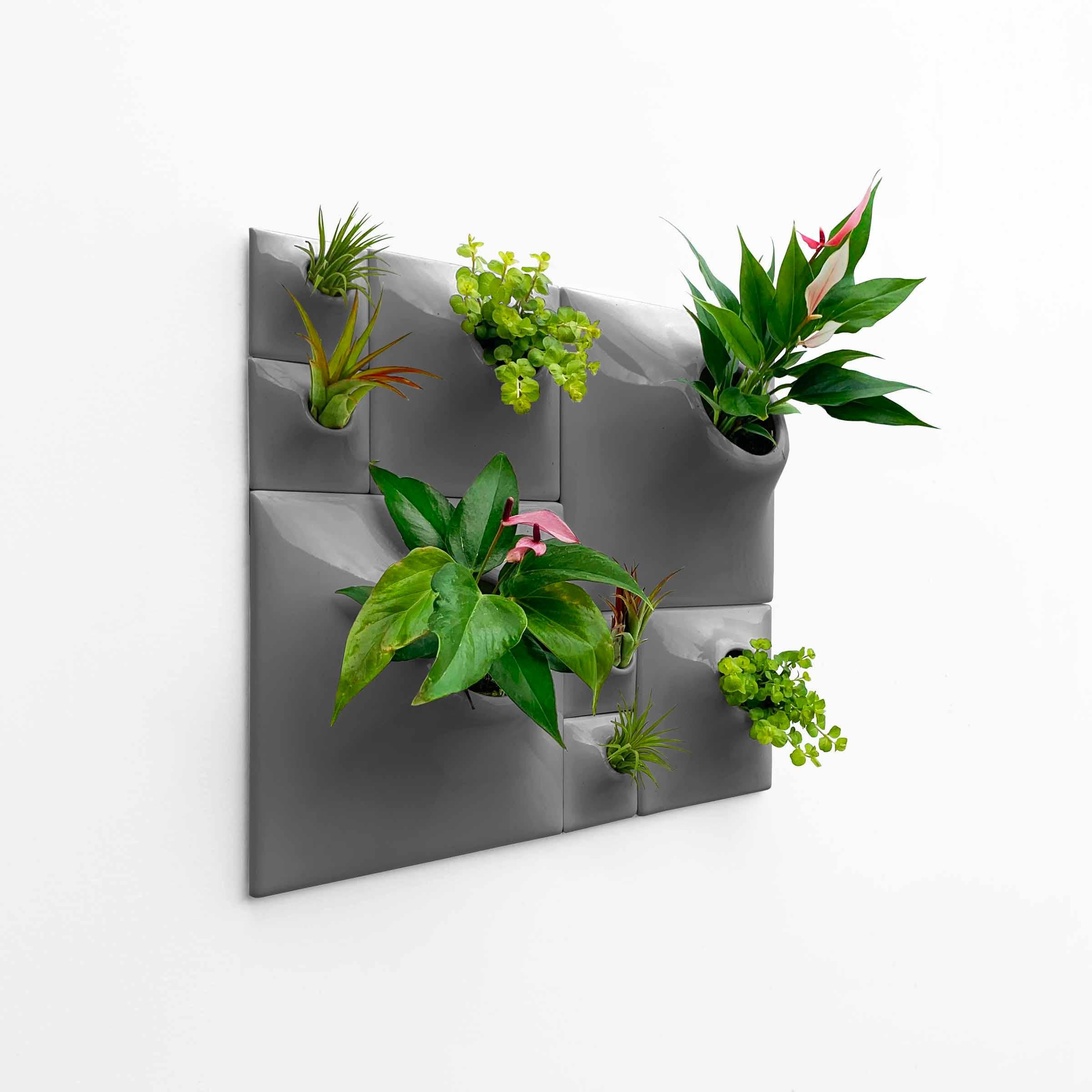 Modern Gray Wall Planter Set, Greenwall Sculpture, Living Wall Decor, Node BS2D

Reimagine your wall art as an awe-inspiring sculptural plant wall or moss wall in your modern home with this breathtaking Node Wall Planter set. Take your eyes on a