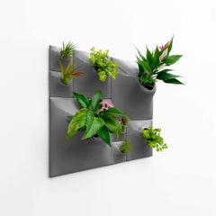 Modern Gray Wall Planter Set, Greenwall Sculpture, Living Wall Decor, Node BS2D