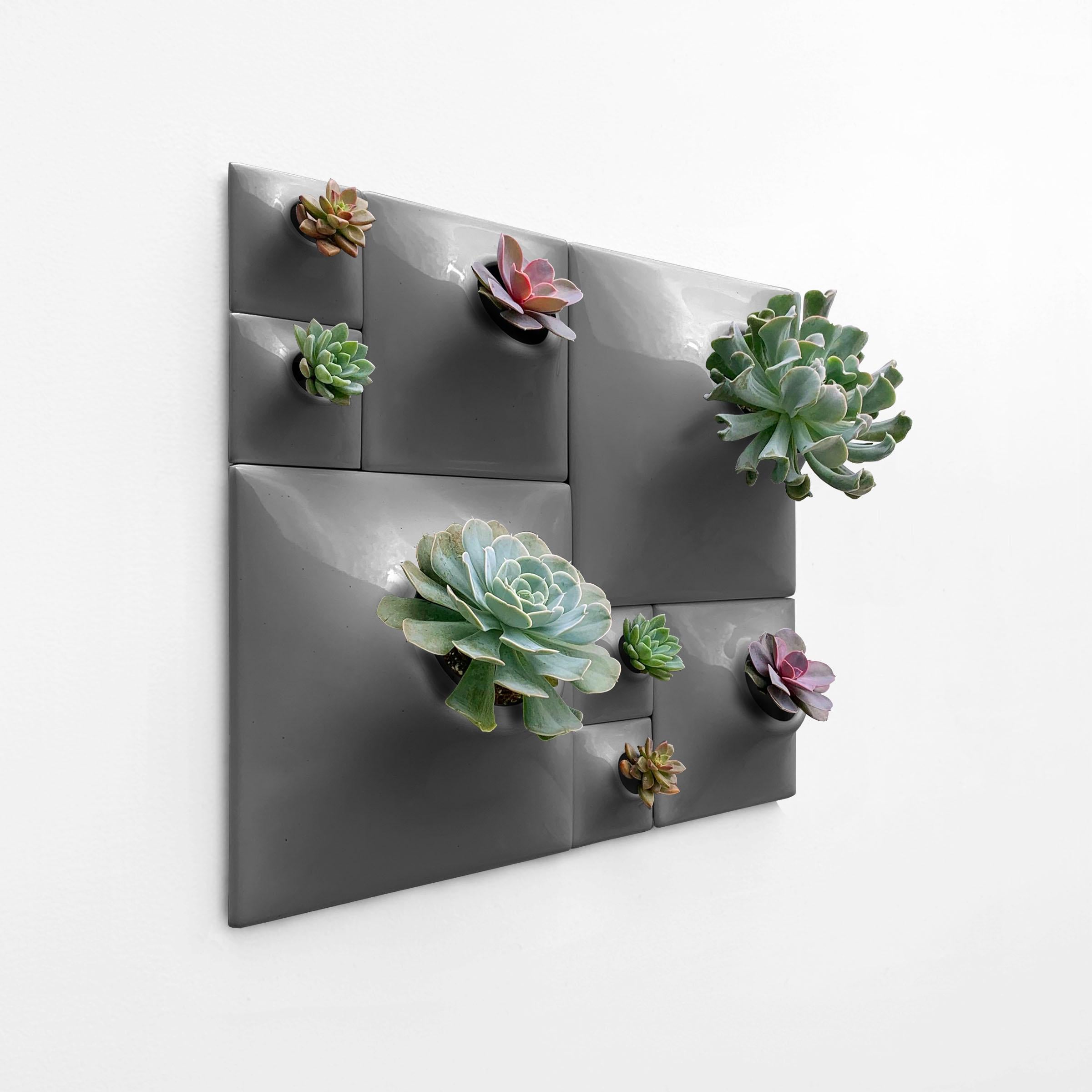 Modern Gray Wall Planter Set, Greenwall Sculpture, Living Wall Decor, Node BS2D In New Condition For Sale In Bridgeport, PA