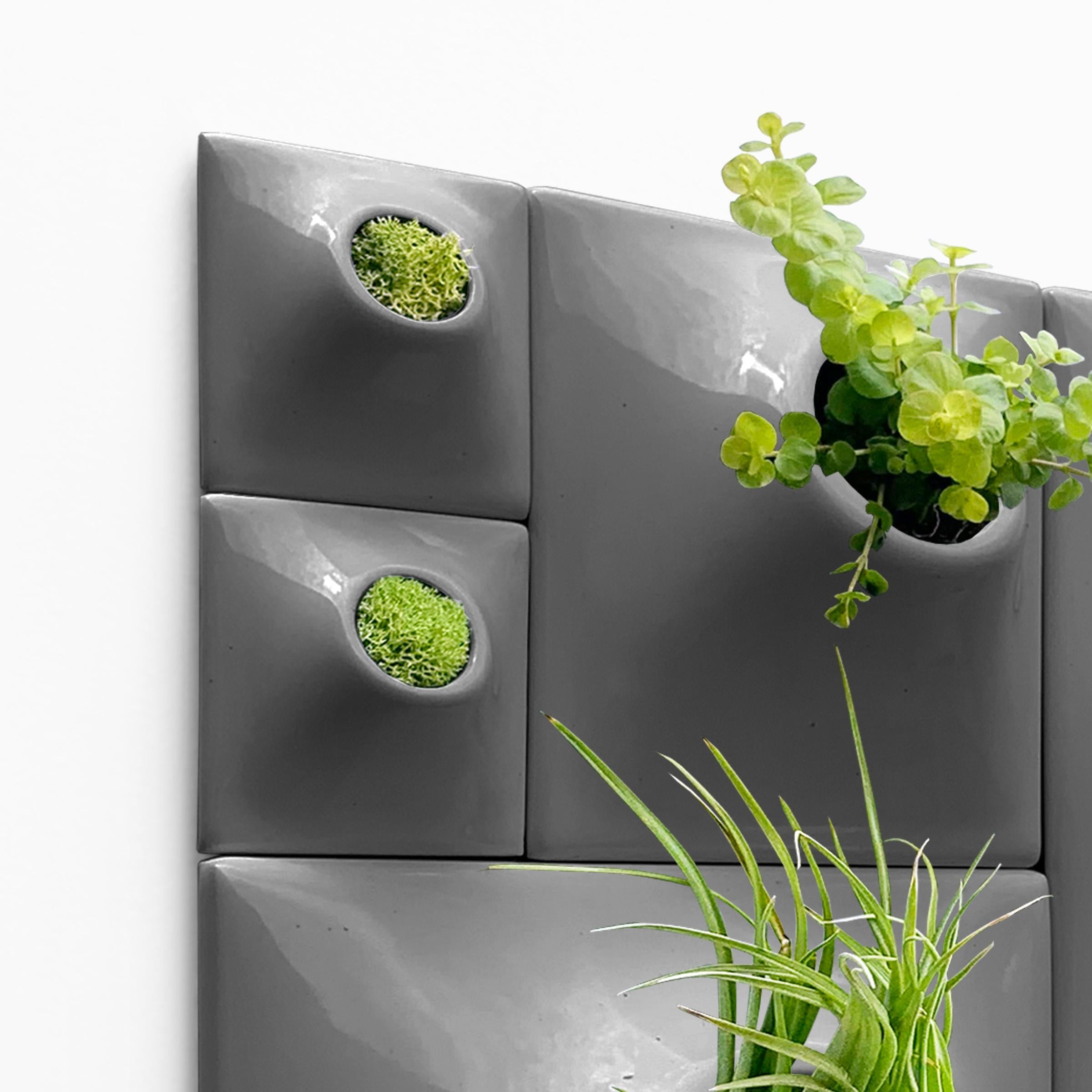 Contemporary Modern Gray Wall Planter Set, Greenwall Sculpture, Living Wall Decor, Node BS2D For Sale