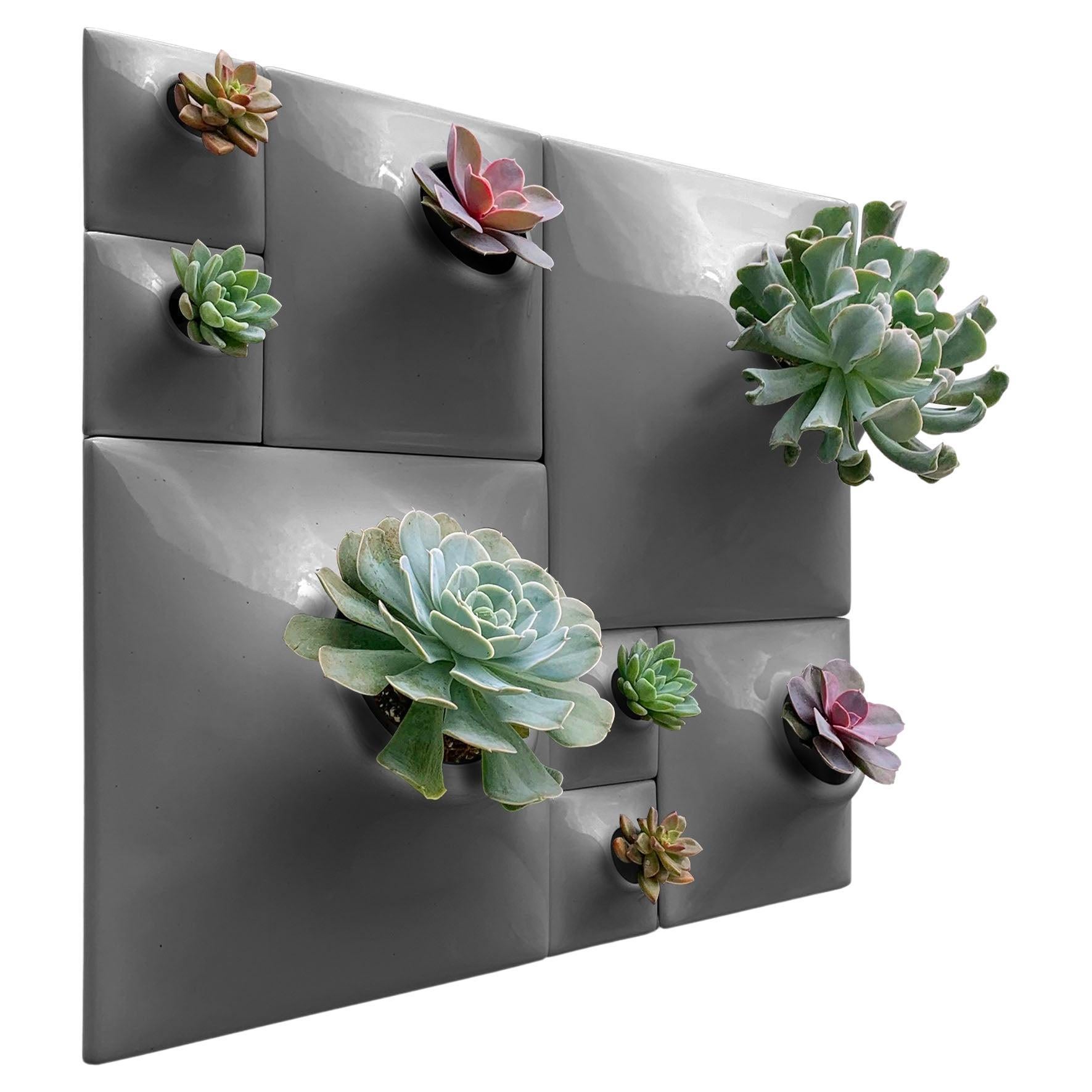 Modern Gray Wall Planter Set, Greenwall Sculpture, Living Wall Decor, Node BS2D For Sale