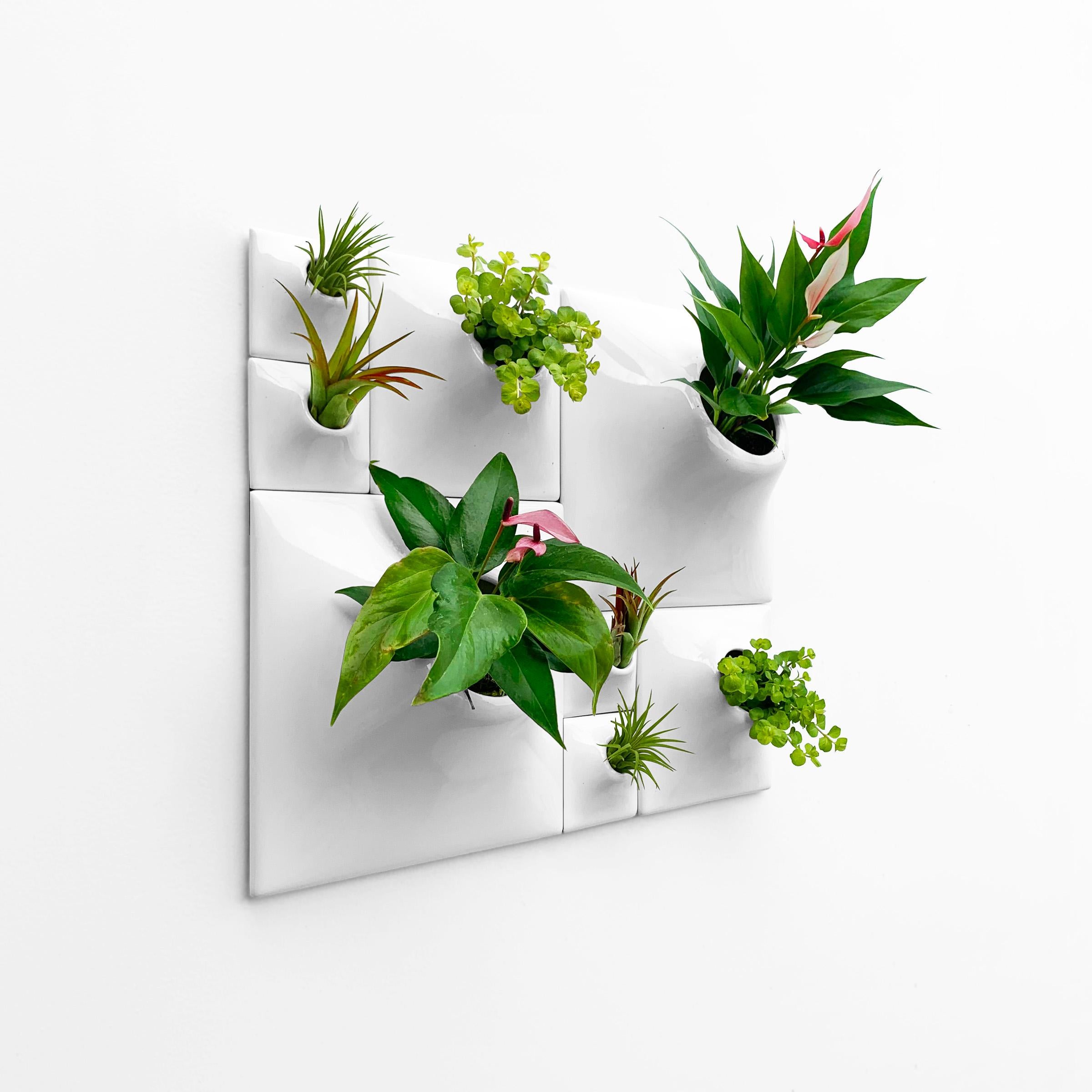 Modern White Wall Planter Set, Greenwall Sculpture, Living Wall Decor, Node BS2 In New Condition For Sale In Bridgeport, PA