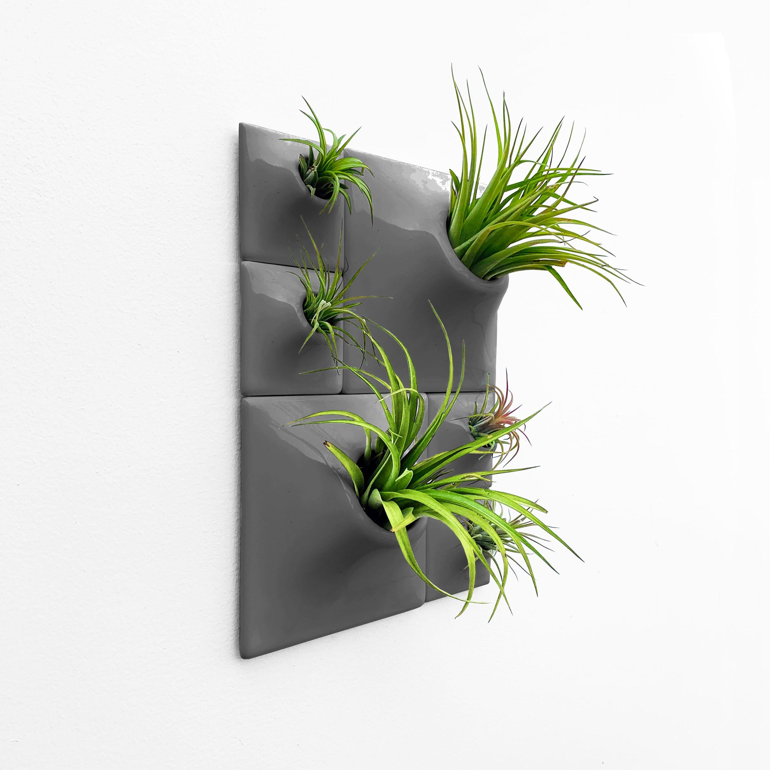 Modern Gray Wall Planter Set, Living Wall Sculpture, Moss Wall Art, Node BR2D

Add a breathtaking modular plant wall or modern moss wall to any space with this eye catching Node Wall Planter set.  Elevate your home decor with living modern wall art