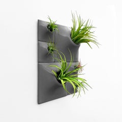 Modern Gray Wall Planter Set, Living Wall Sculpture, Moss Wall Art, Node BR2D