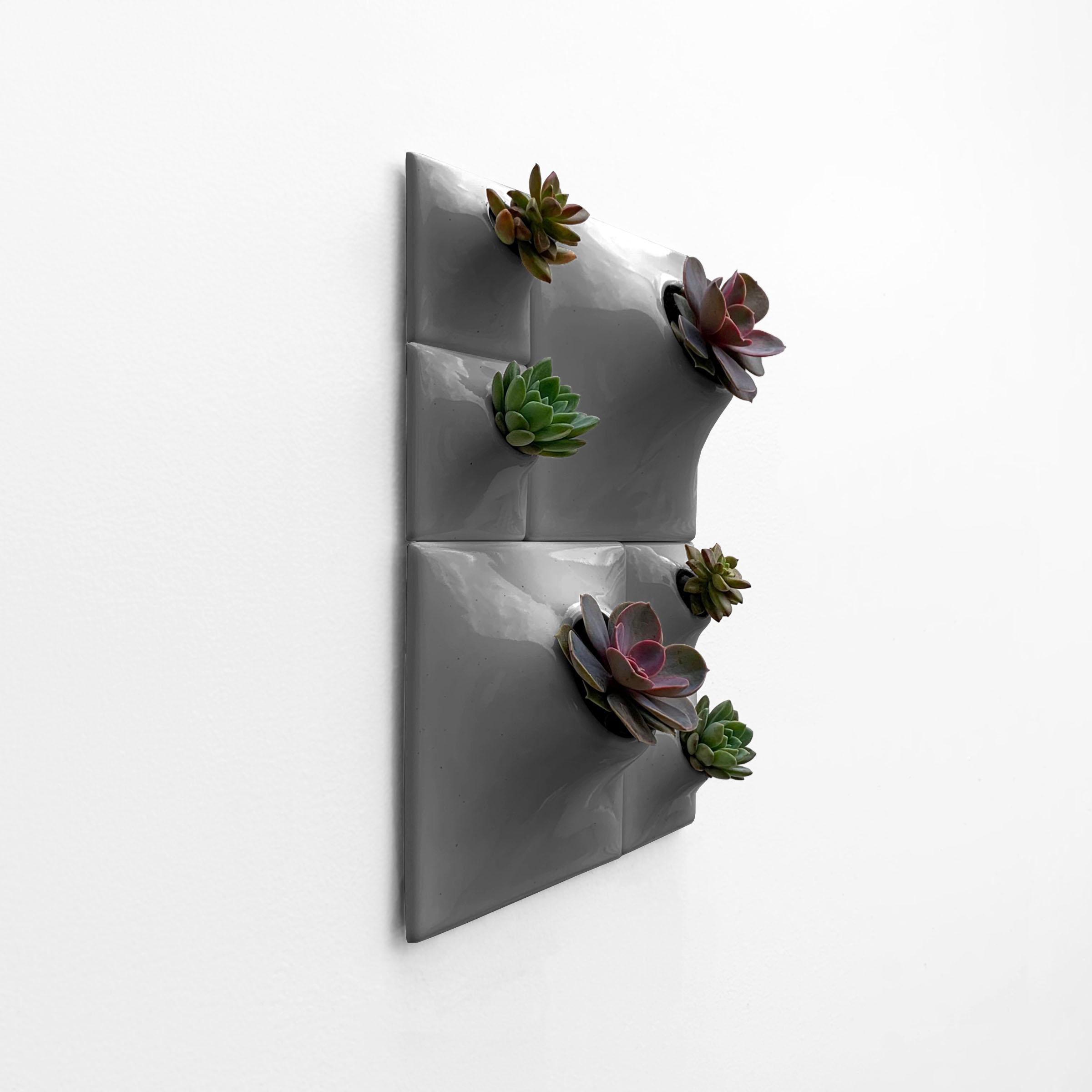 Glazed Modern Gray Wall Planter Set, Living Wall Sculpture, Moss Wall Art, Node BR2D For Sale