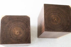Modern Walnut End Table by Bertu Home