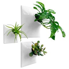 Modern White Wall Planter Set, Mid Century Modern Decor, Plant Wall Art, Node TP