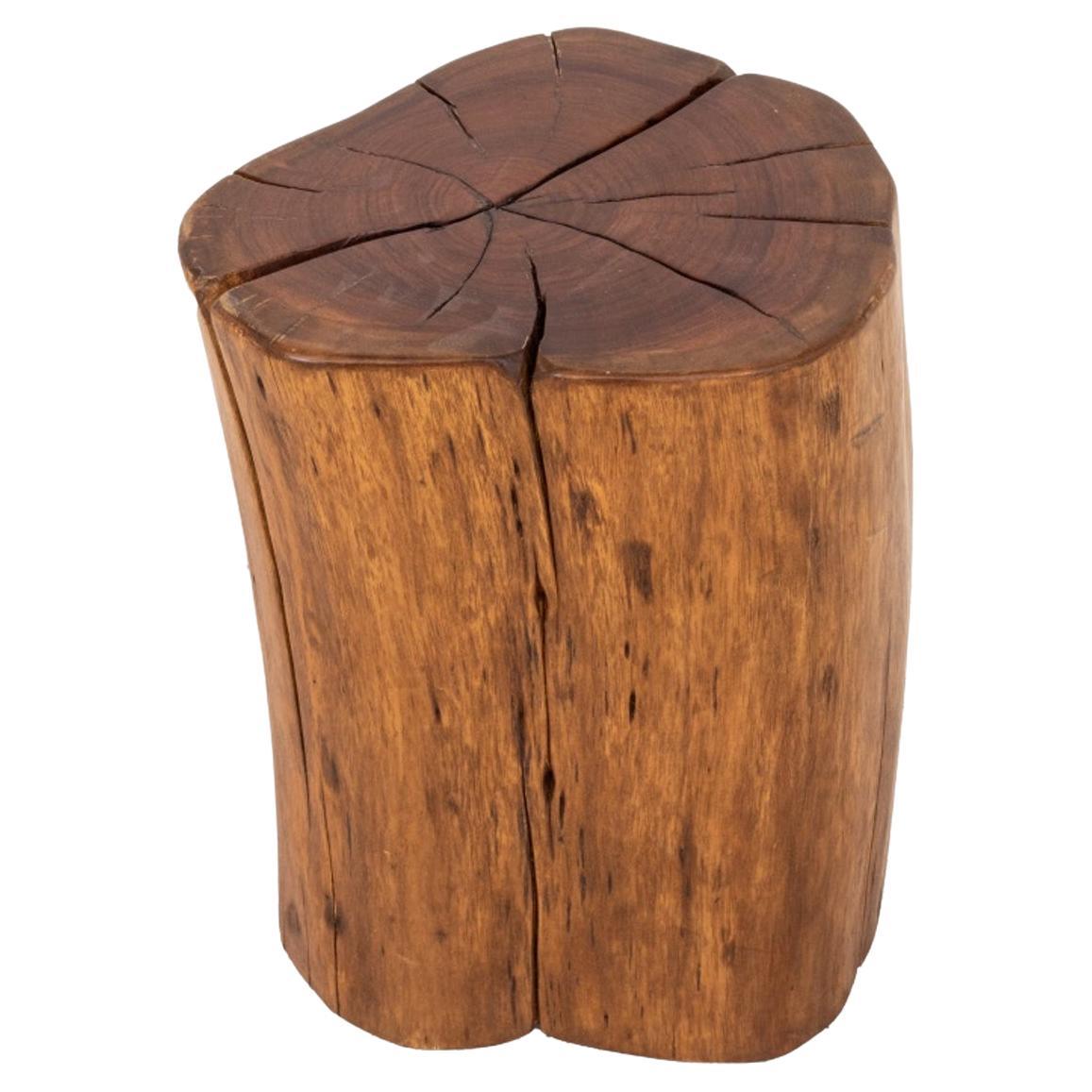 Modern Wood Trunk End Table / Stool For Sale
