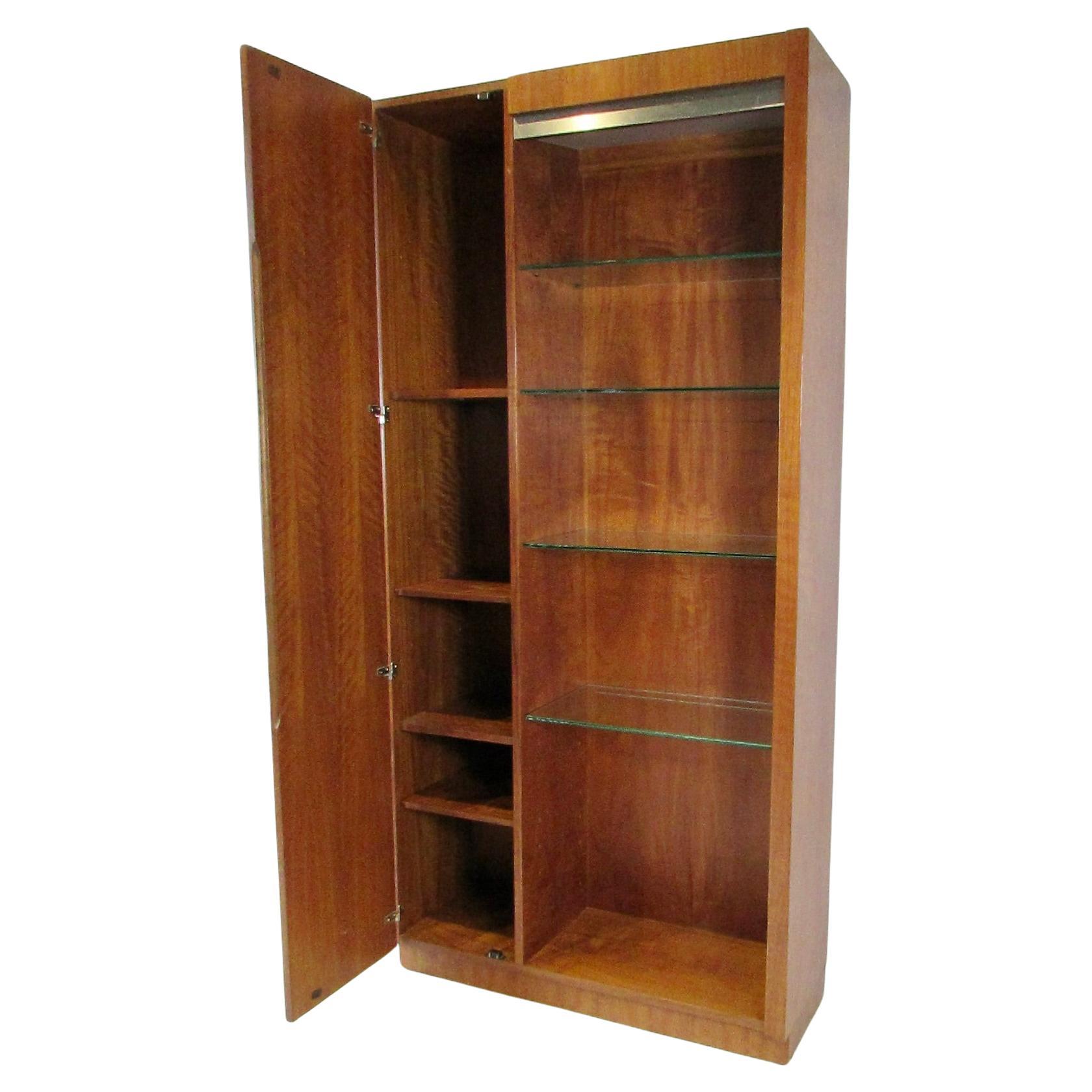 Moderne style collectors vitrine with storage For Sale