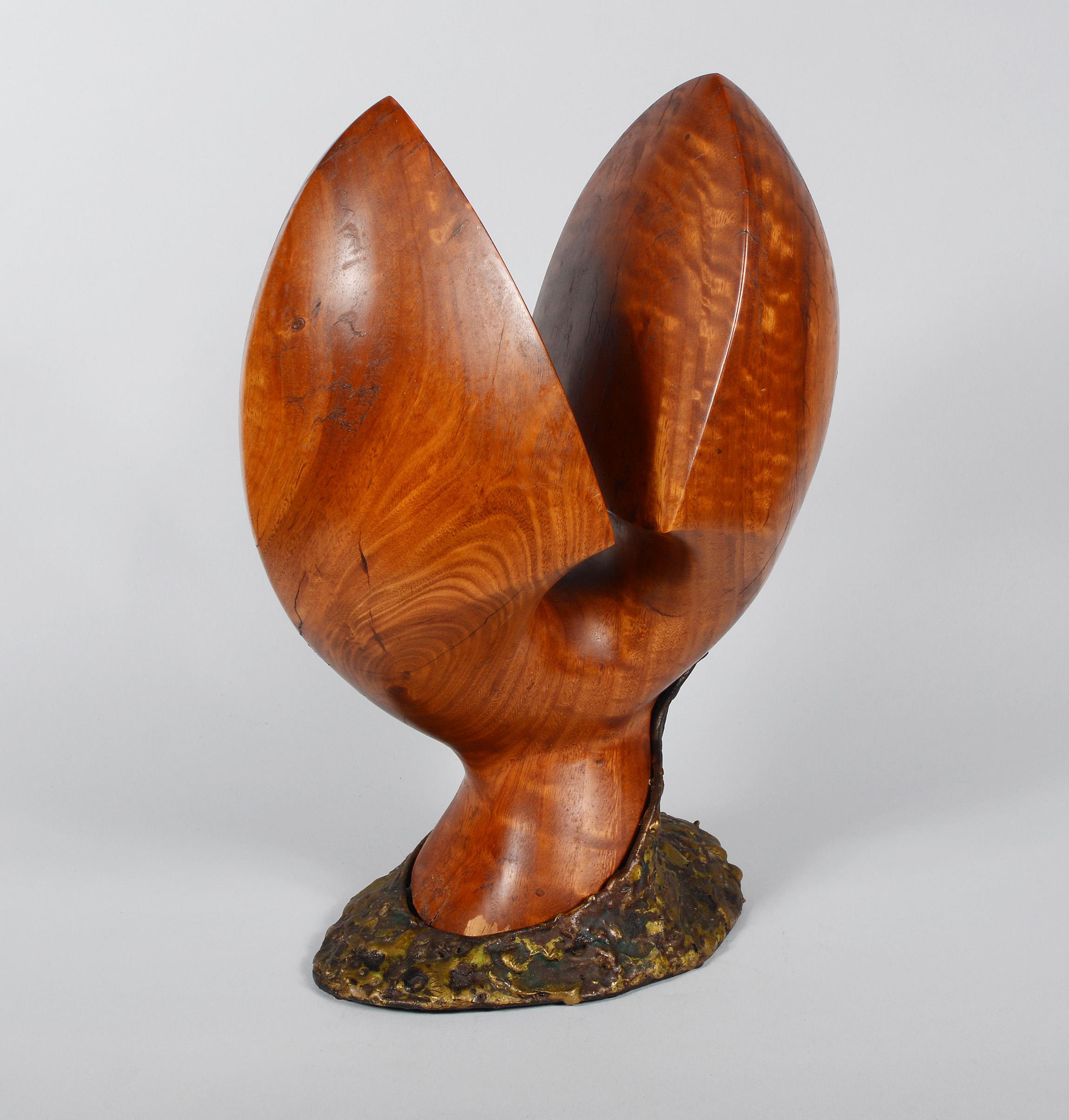 abstract wood sculptures