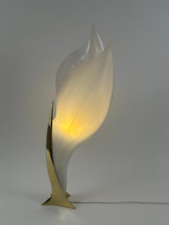 Modernist Acrylic & Brass Table Lamp or Floor Light by Maison Rougier 1970s