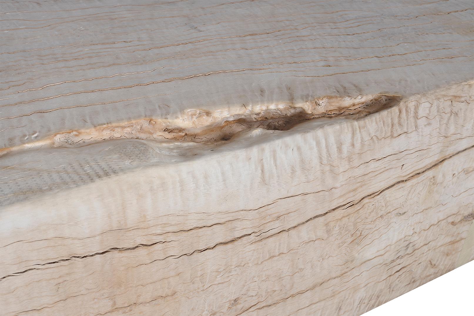 Modernist Bleached Lychee Wood Coffee Table or Bench In Good Condition For Sale In Dallas, TX