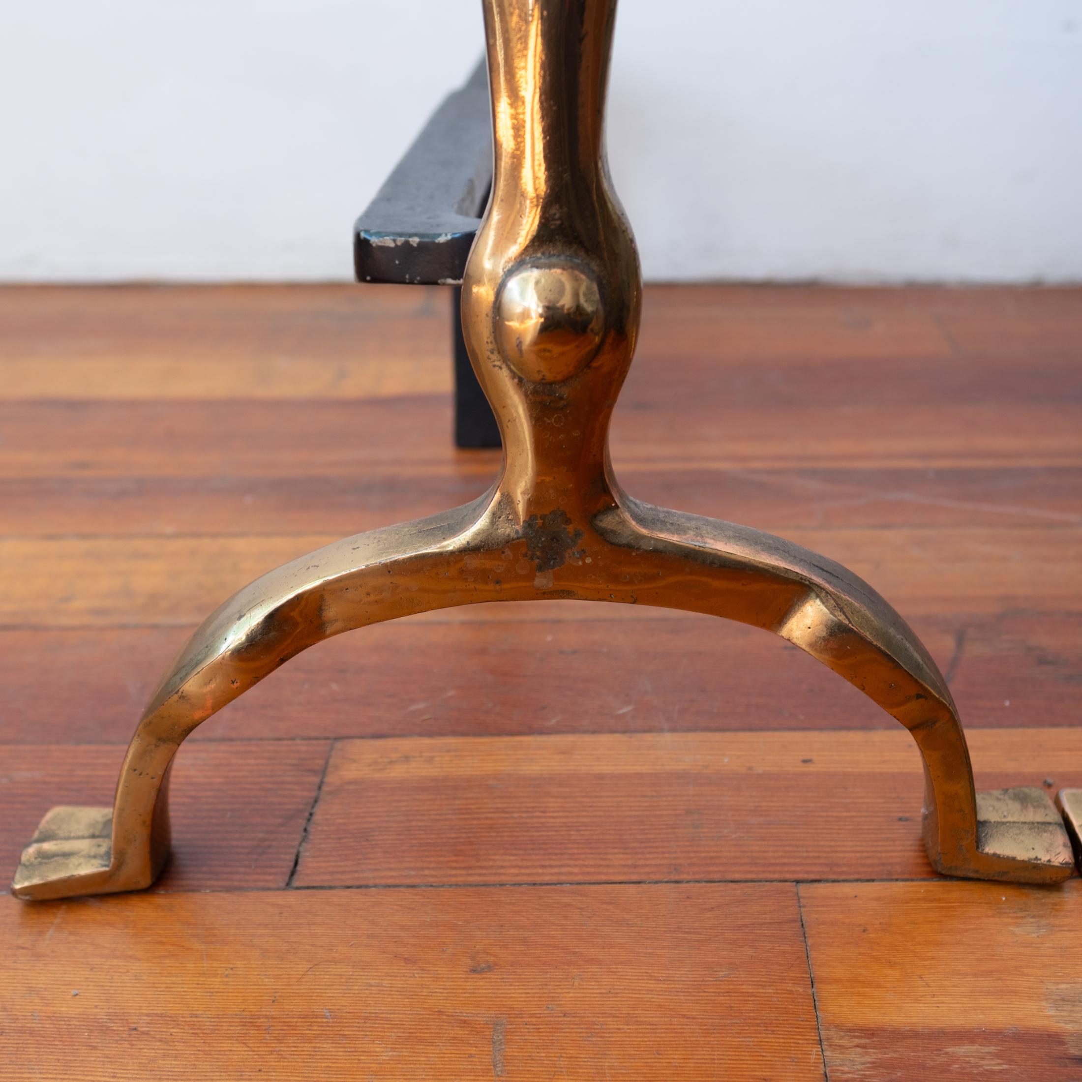 Iron Modernist Brass Flower Andirons