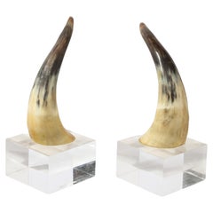 Modernist Bull Horn Bookends on Rectilinear Lucite Bases Manner of Karl Springer