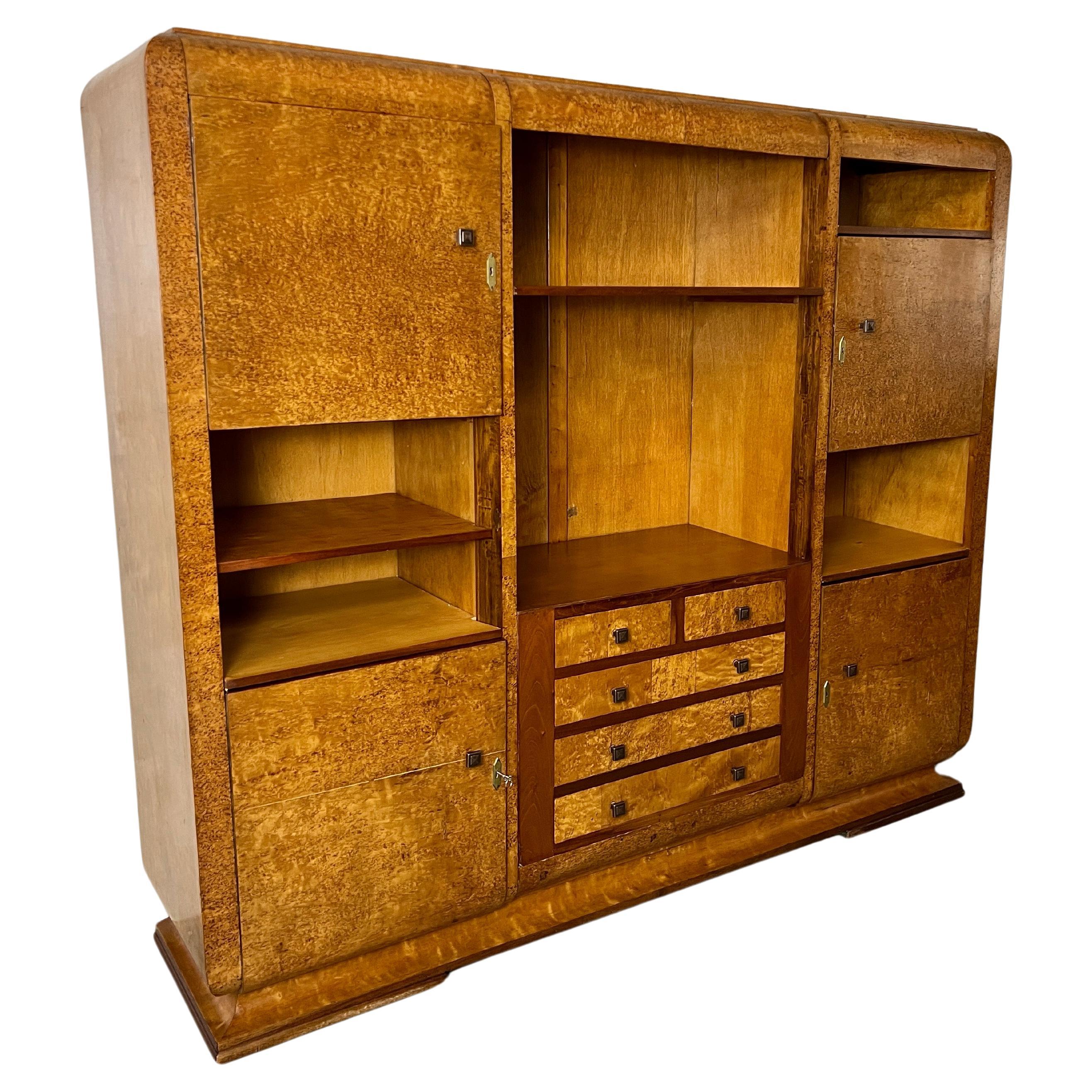 Modernist Burl wood Cabinet  For Sale