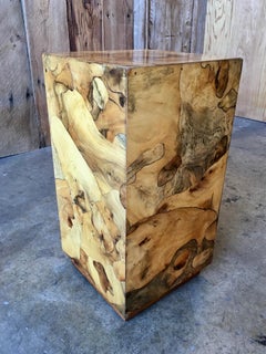 Modernist Burl Wood Pedestal