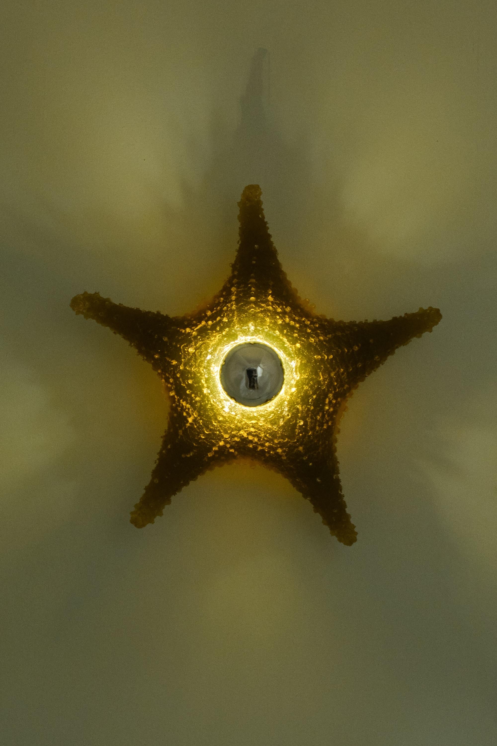 Aplique de pared modernista de estrella de mar de resina de color marrón caqui by Tennant New York Moderno en venta