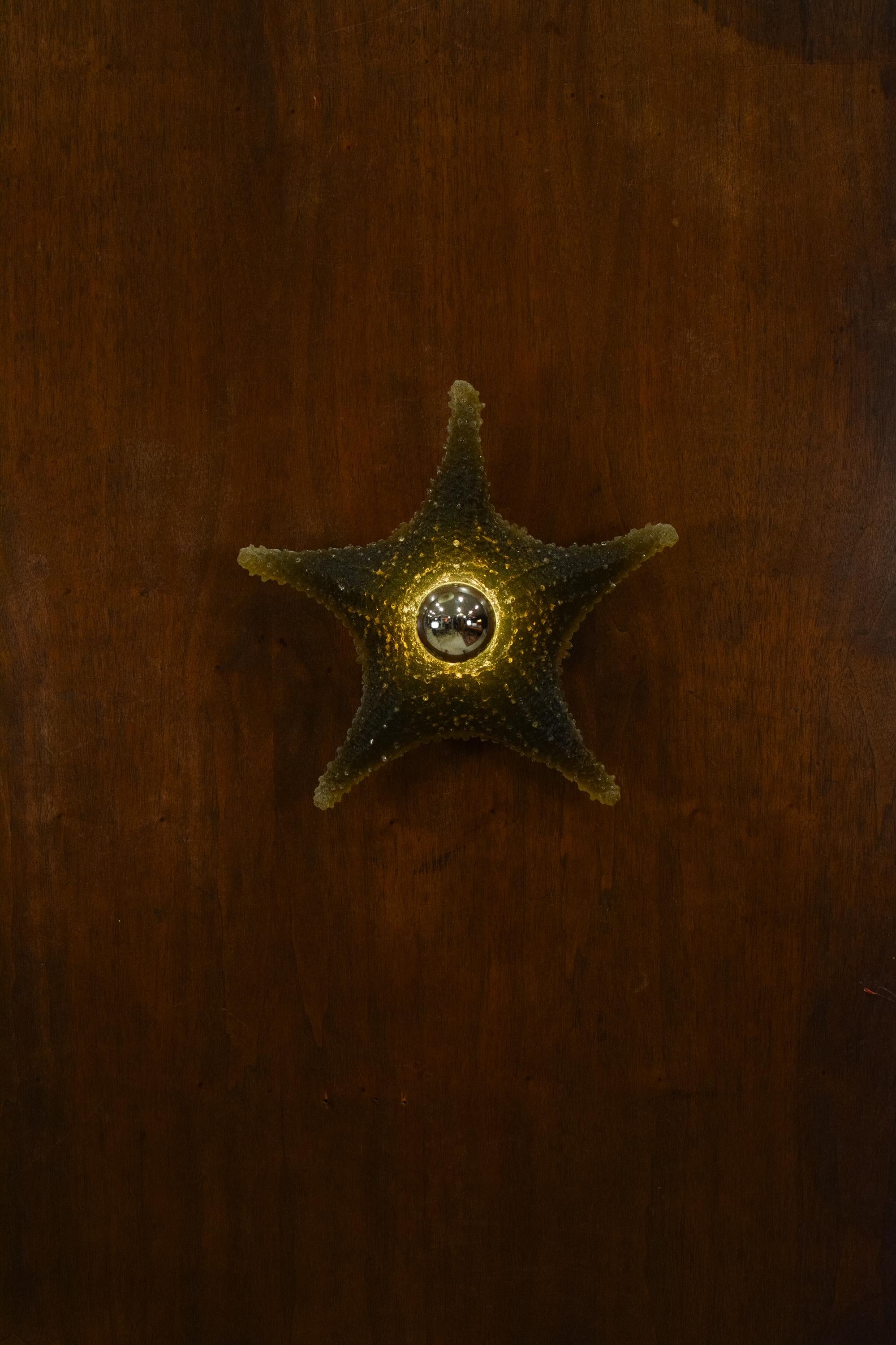 Aplique de pared modernista de estrella de mar de resina de color marrón caqui by Tennant New York en Nuevo estado para la venta en Brooklyn, NY