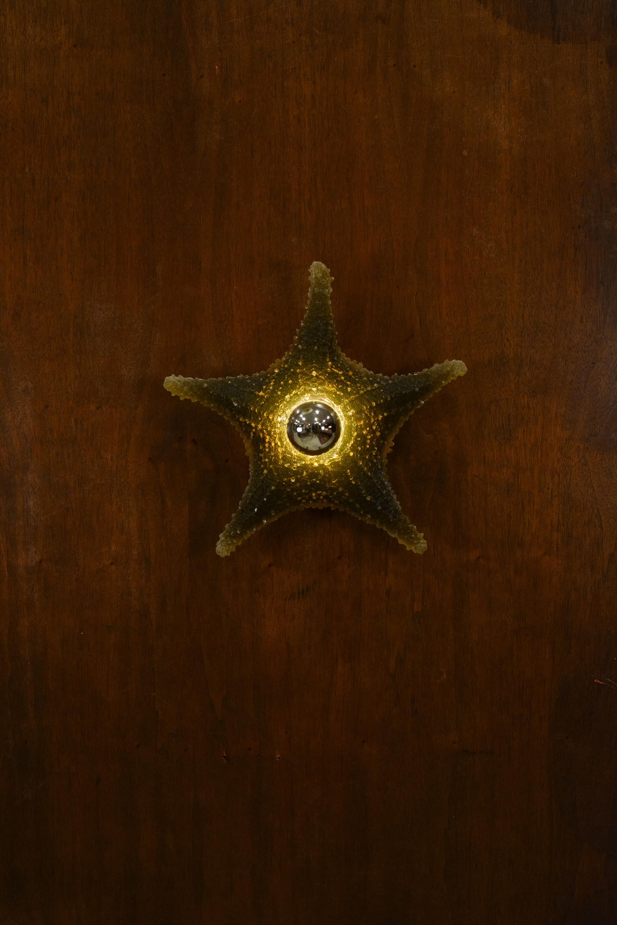 Aplique de pared modernista de estrella de mar de resina de color marrón caqui by Tennant New York Siglo XXI y contemporáneo en venta