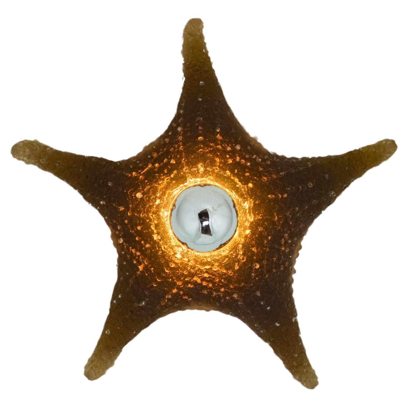 Aplique de pared modernista de estrella de mar de resina de color marrón caqui by Tennant New York en venta