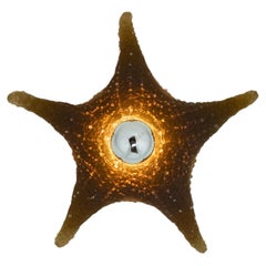 Modernist Cast-Resin Starfish Wall Sconce in Khaki Brown by Tennant New York