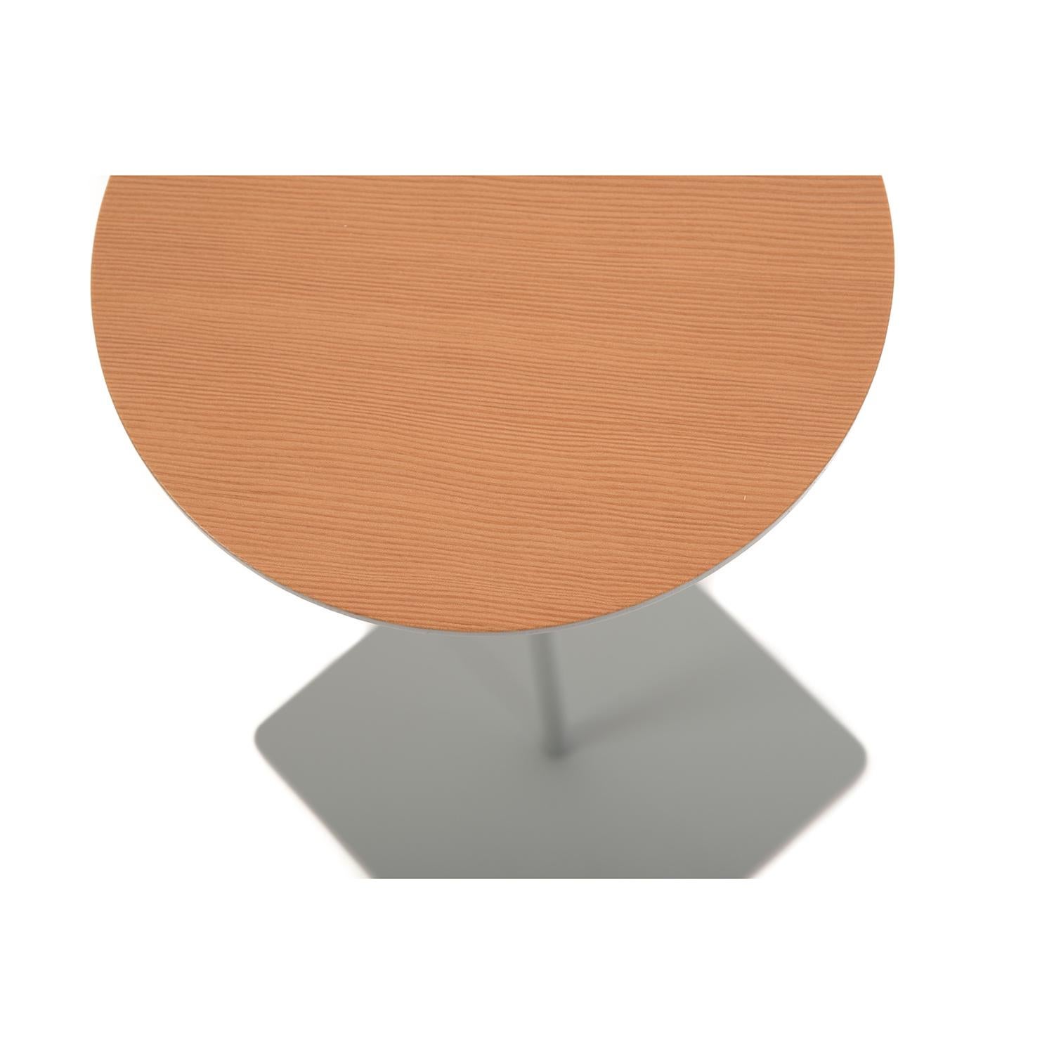 Organic Modern Modernist Cocktail Table