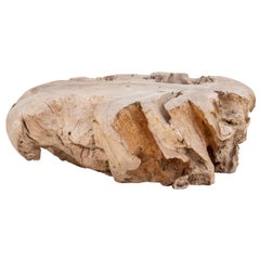 Modernist Driftwood Stump Low Table