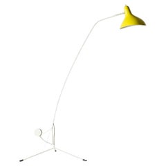 Floor Lamps