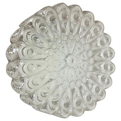 Modernist Floral Glass Wall Light Sconce Made by Hillebrand, Germany, 1970s