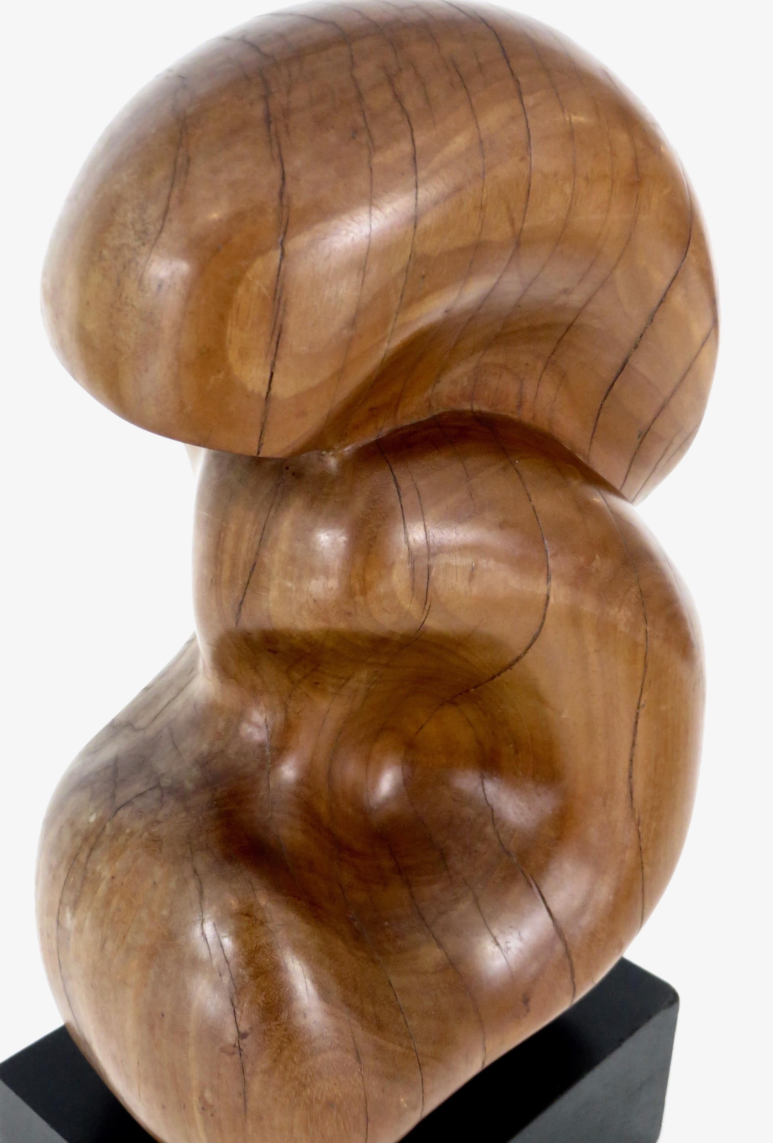 Modernist French Abstract Carved Wood Bio Morphic Sculpture 8