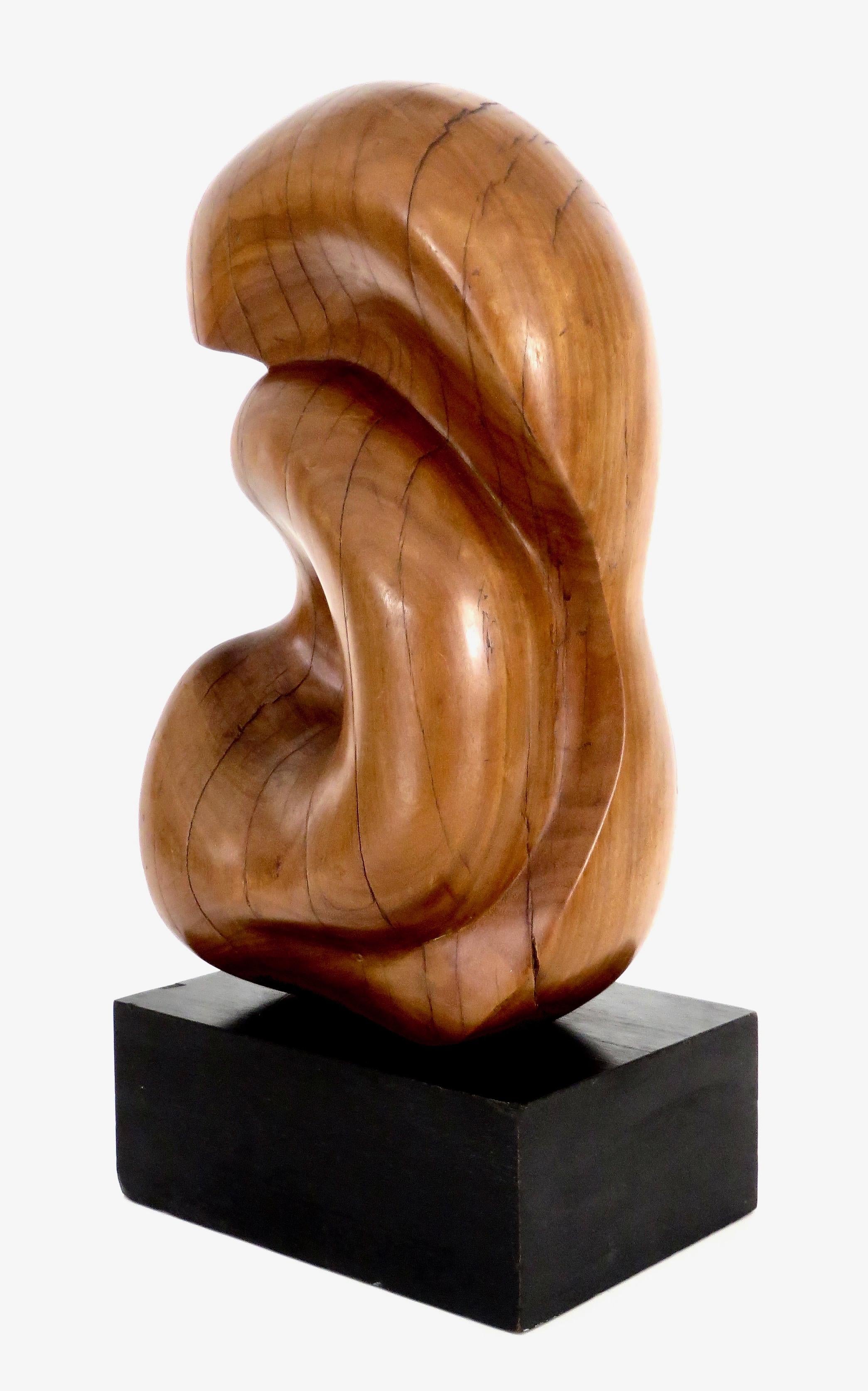 Mid-Century Modern Modernist French Abstract Carved Wood Bio Morphic Sculpture