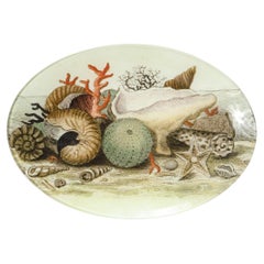 Modernist Glass Decoupage Vide-Poche/ Tray w/ Sea Life Signed by John Derian Co.