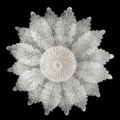 Plafonnier moderniste en verre de Murano soufflé à la main, marbré, motif d'acanthe