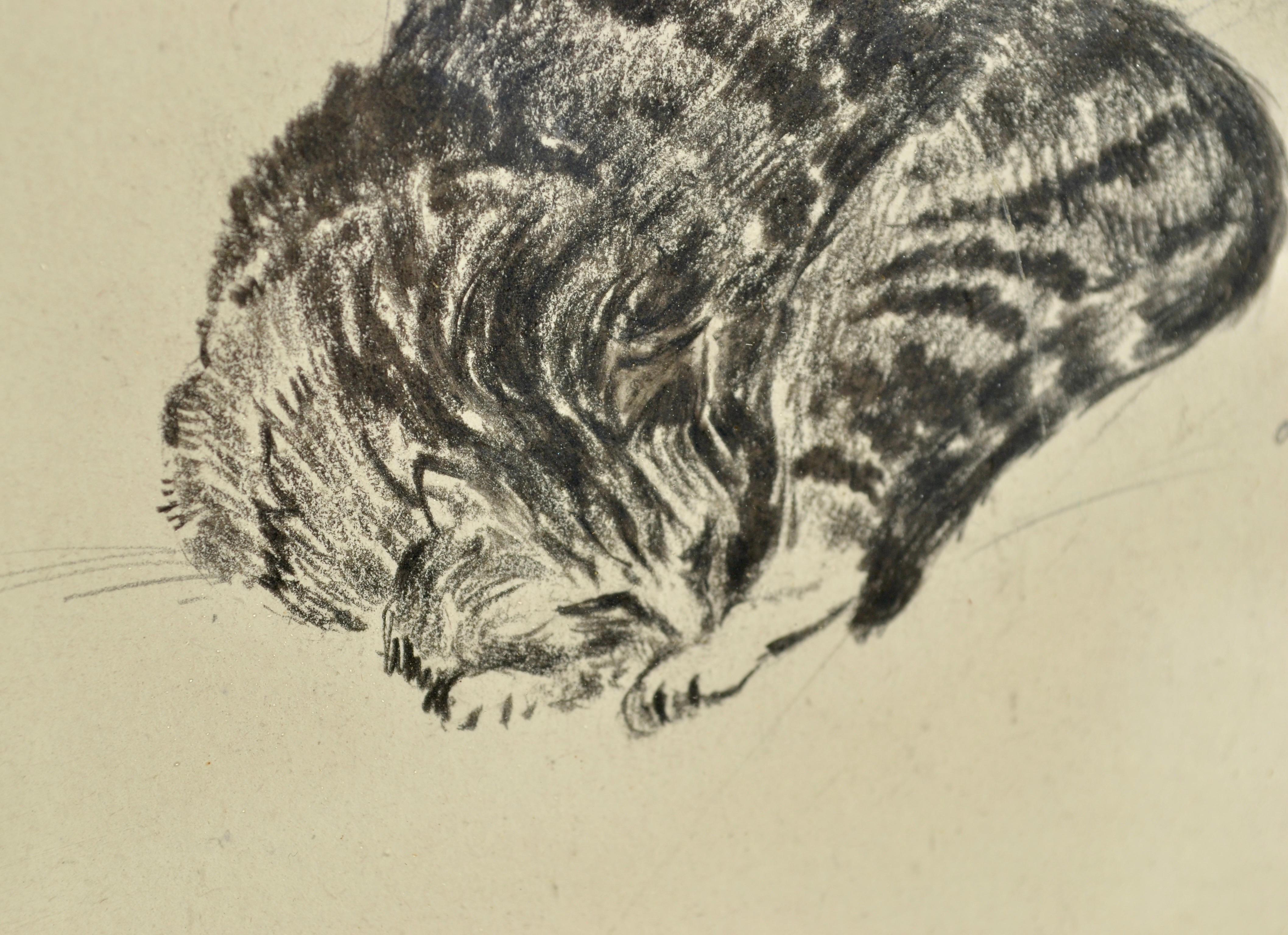Mid-Century Modern Dessin à l'encre moderniste d'un chat endormi, 1943 en vente