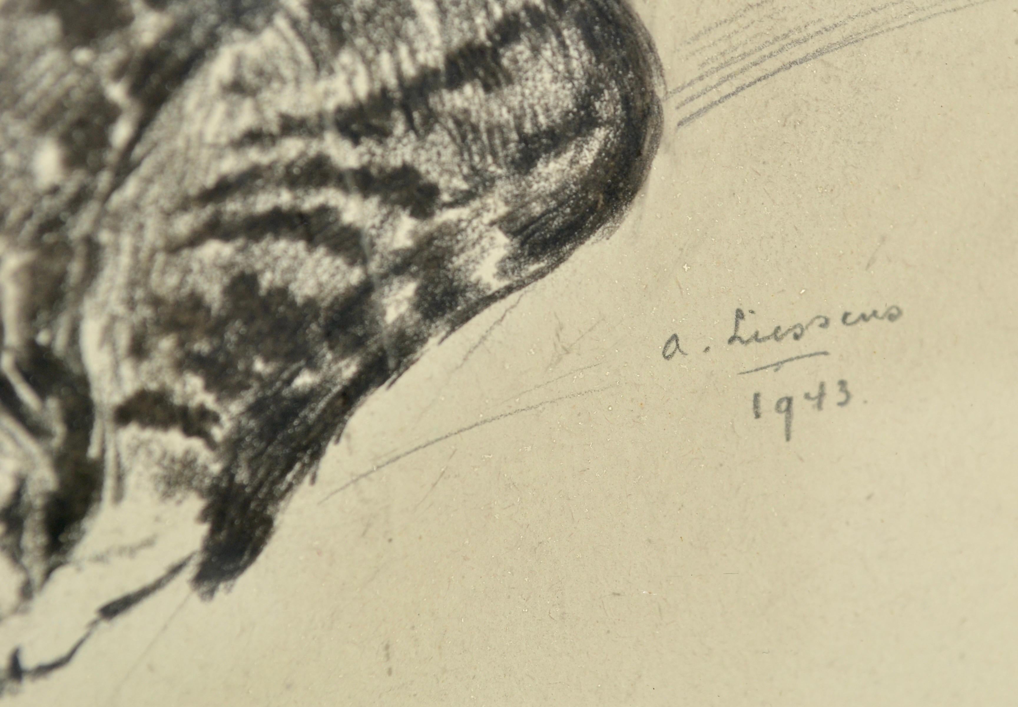 Dessin à l'encre moderniste d'un chat endormi, 1943 Bon état - En vente à SOTTEVILLE-LÈS-ROUEN, FR