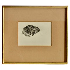 Dessin à l'encre moderniste d'un chat endormi, 1943