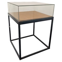 Modernist Jewelry Vitrine, Barneys New York