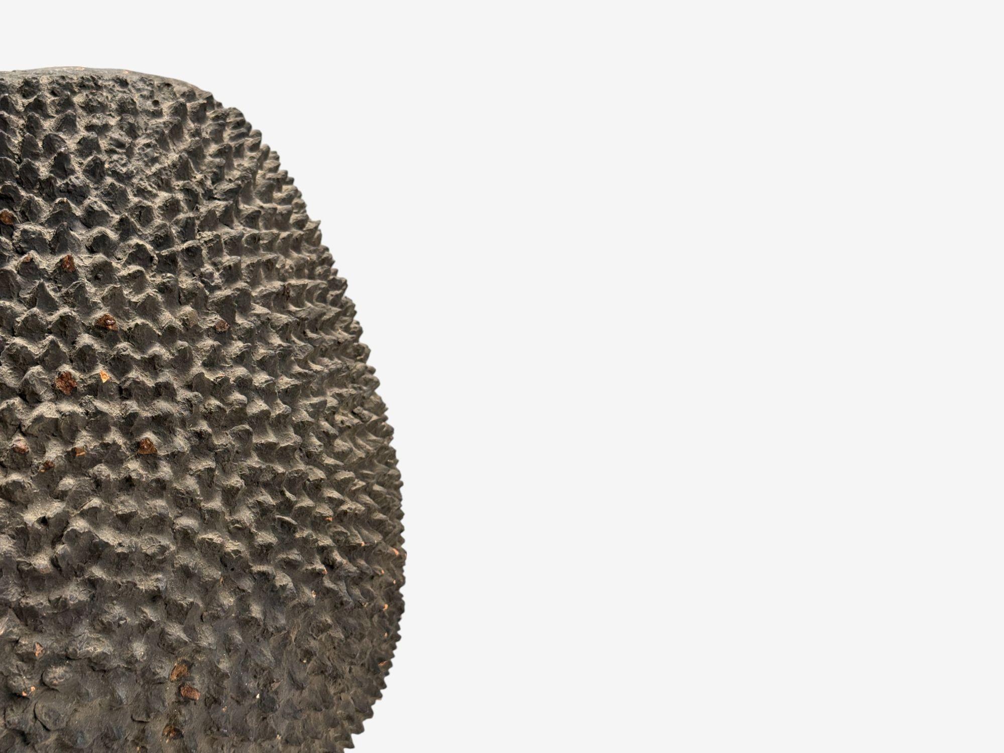 Modernistischer Terrakotta-Bodentopf von Lobi, Afrika, 20. Jahrhundert. im Angebot 2
