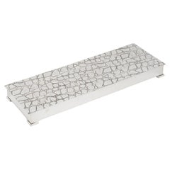 Caja modernista larga y plana de chapa de plata con dibujo de cocodrilo, años 60